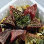 Haworthia Seedling S34 - 18