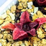 Haworthia Seedling MS120 Silver Mutica - 4