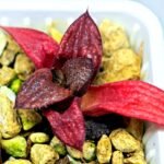 Haworthia Seedling MS127 Painted Glass - 8
