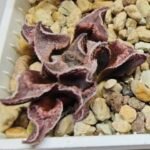 Haworthia Seedling pygmaea crystallina S165 - 4