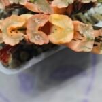 Haworthia Truncata Hokusai (北斋) Variegated 1 - 3